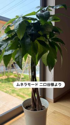 4590B352-36BE-4D3F-B897-6F162DB56232.jpg
